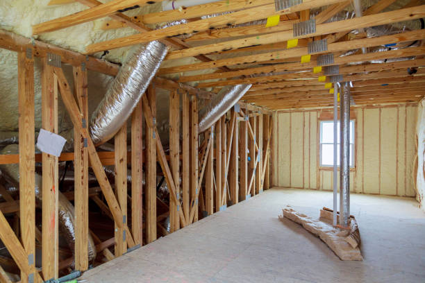 Best Insulation Inspection Services  in Dakota City, NE